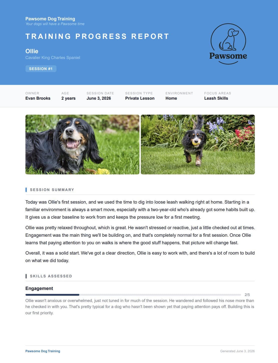 Sample DropLeash dog trainer session report showing behavior ratings, progress highlights, and homework