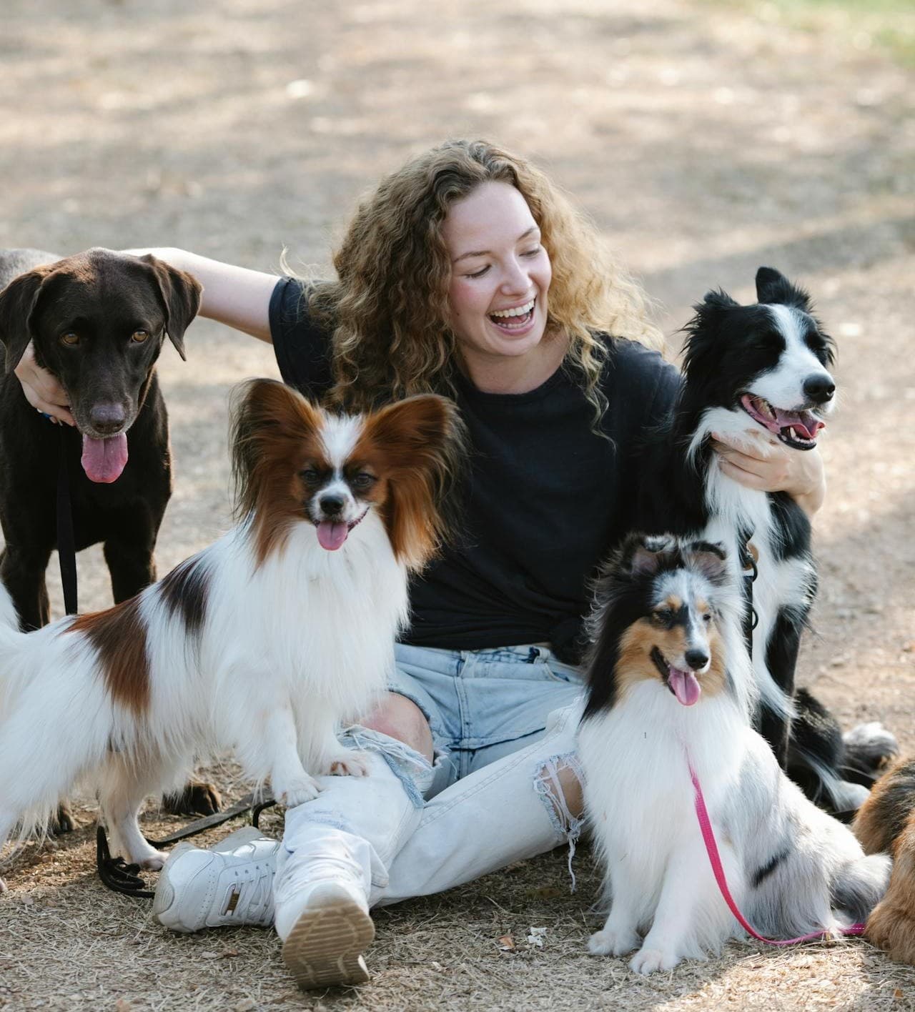 A dog trainer with multiple dogs, smiling