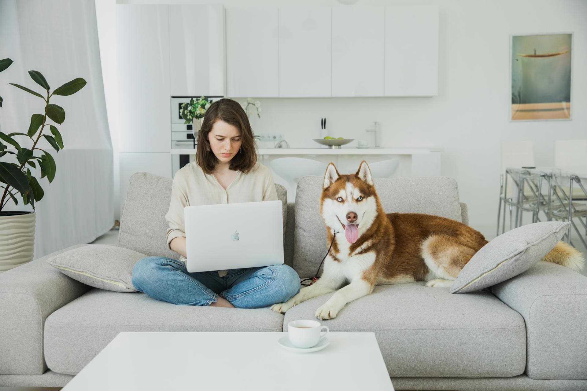 A Trainer on their laptop with their dog on the couch"