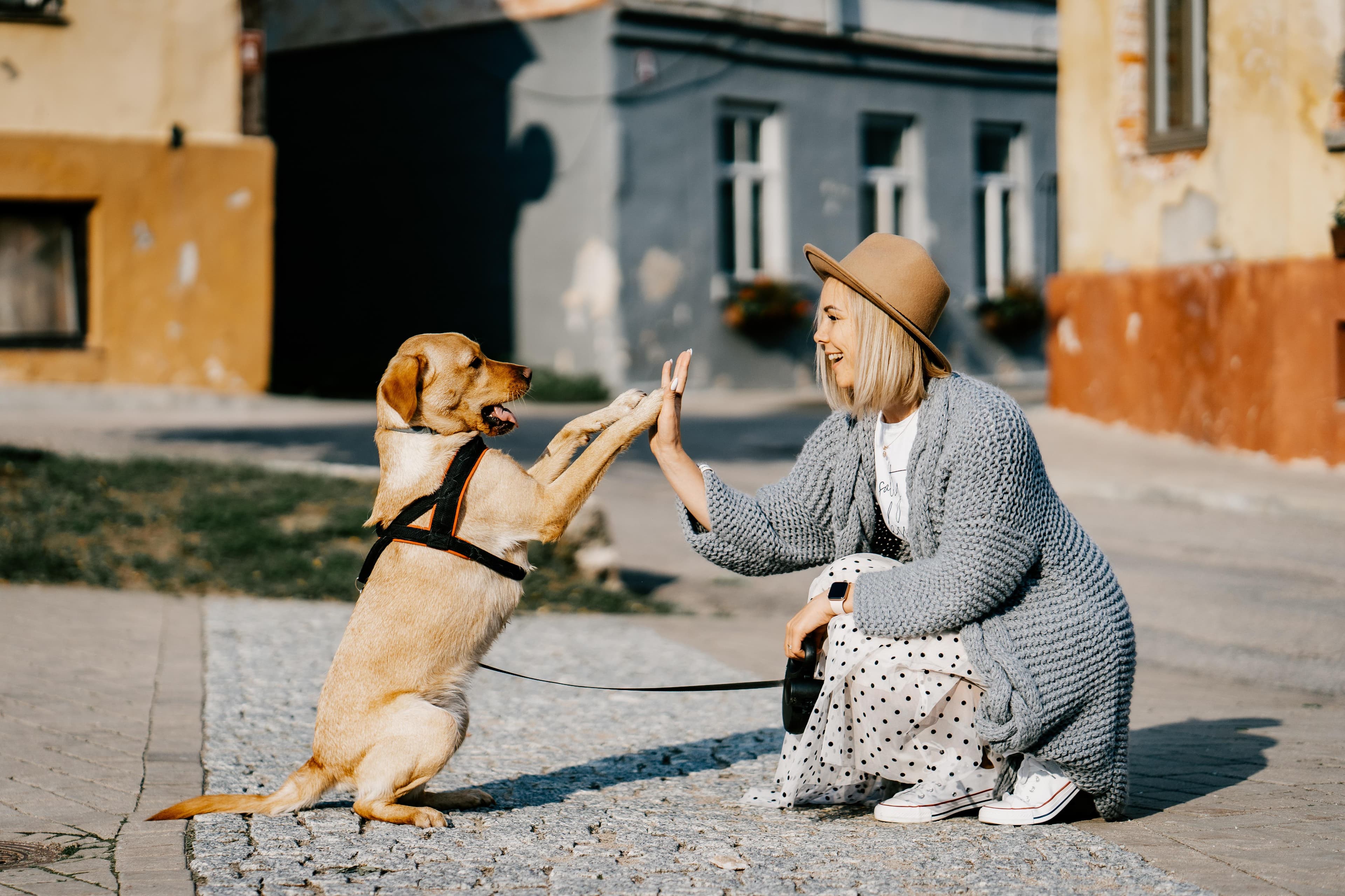 A smiling young lady giving a high five to her dog. The dog is on it's hind legs