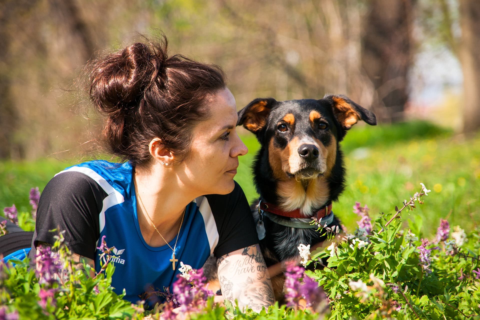 A dog trainer thinking quietly after a session, with a dog resting nearby